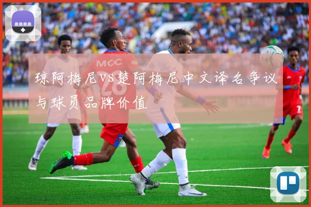 琼阿梅尼vs楚阿梅尼中文译名争议与球员品牌价值