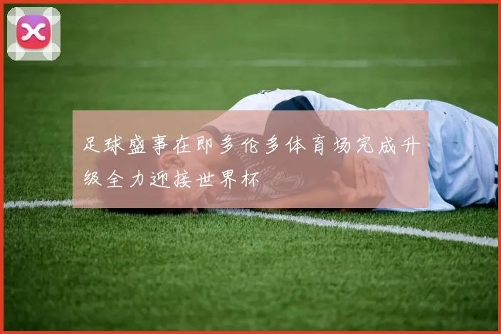 足球盛事在即多伦多体育场完成升级全力迎接世界杯