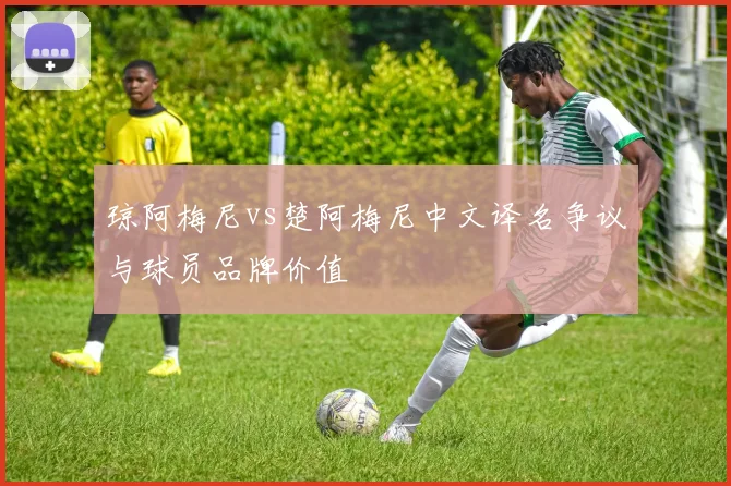 琼阿梅尼vs楚阿梅尼中文译名争议与球员品牌价值