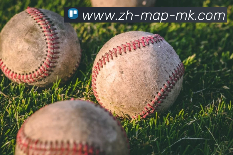 MK体育APP 封面图